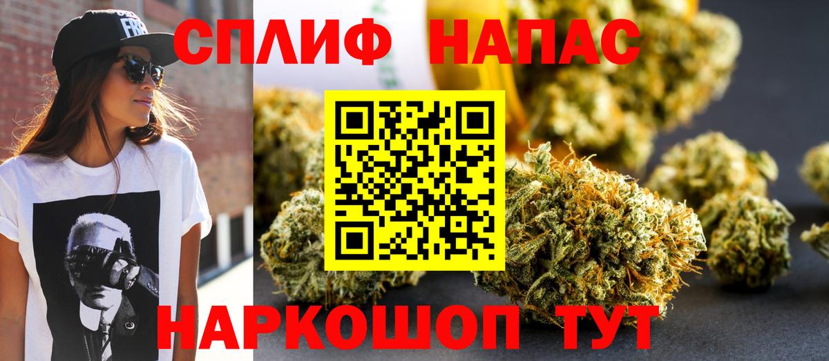 Бошки Шишки тримм Ленинск-Кузнецкий